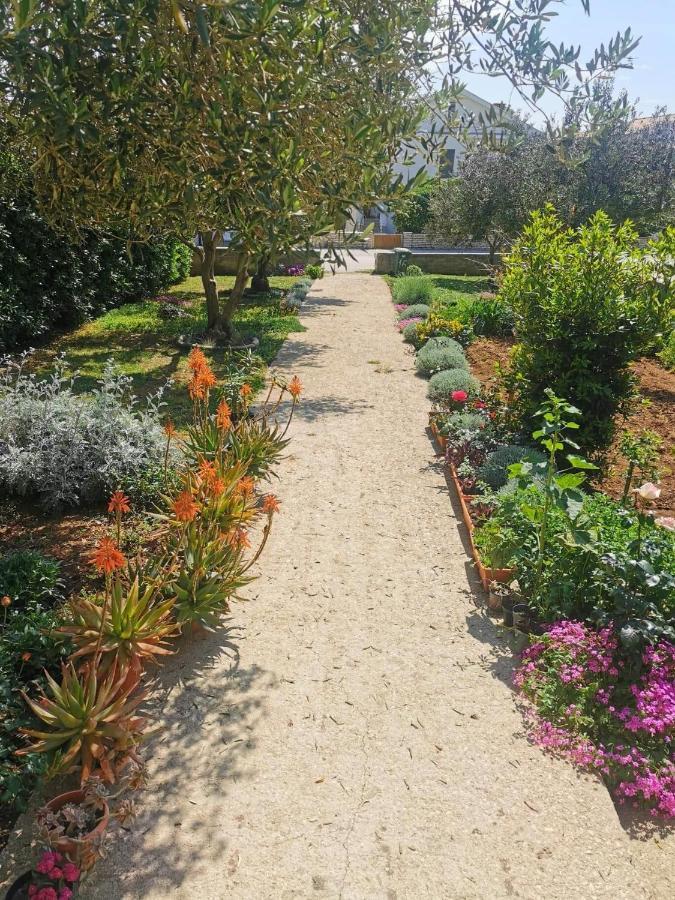 פובליאנה Apartments Sanja מראה חיצוני תמונה