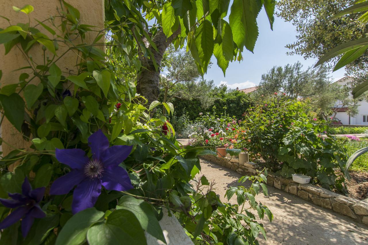 פובליאנה Apartments Sanja מראה חיצוני תמונה